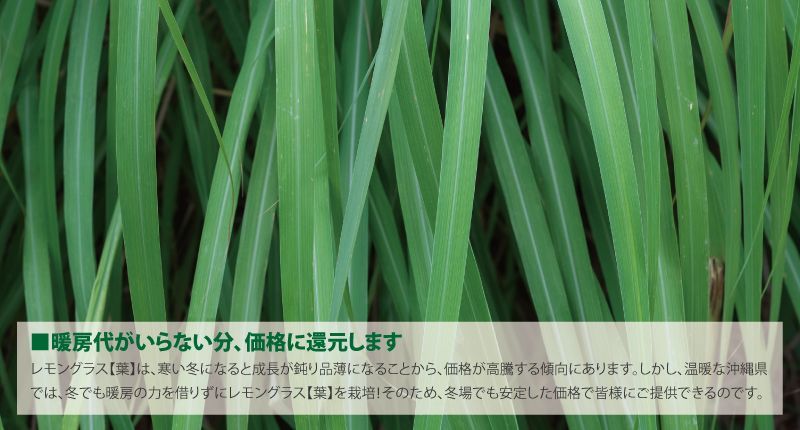 暖房代がいらない分、価格に還元します