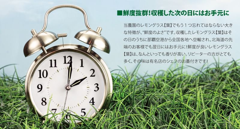 鮮度抜群!収穫した次の日にはお手元に