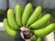 画像4: もっちり食感！島バナナ【2kg】 (4)