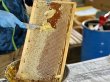 画像2: 【非加熱・無添加】糸満産 生はちみつ（110g×2個セット） (2)