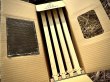 画像4: ミツバチ専用ダンボール巣箱【10セット】 (4)