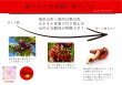 画像5: モラードバナナ【2kg】 (5)