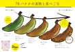 画像8: もっちり食感！島バナナ【2kg】 (8)