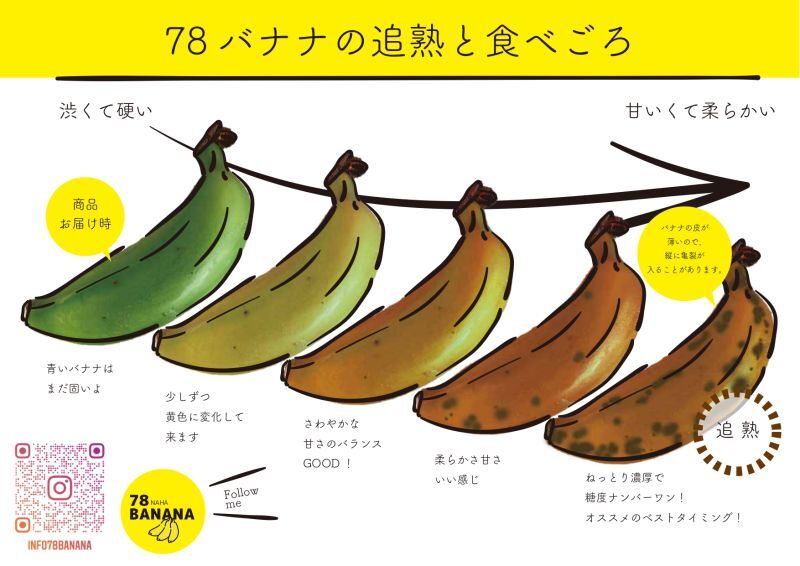 もっちり食感！島バナナ【2kg】｜78BANANA｜あぐりぴあ沖縄のハーブとミツバチ